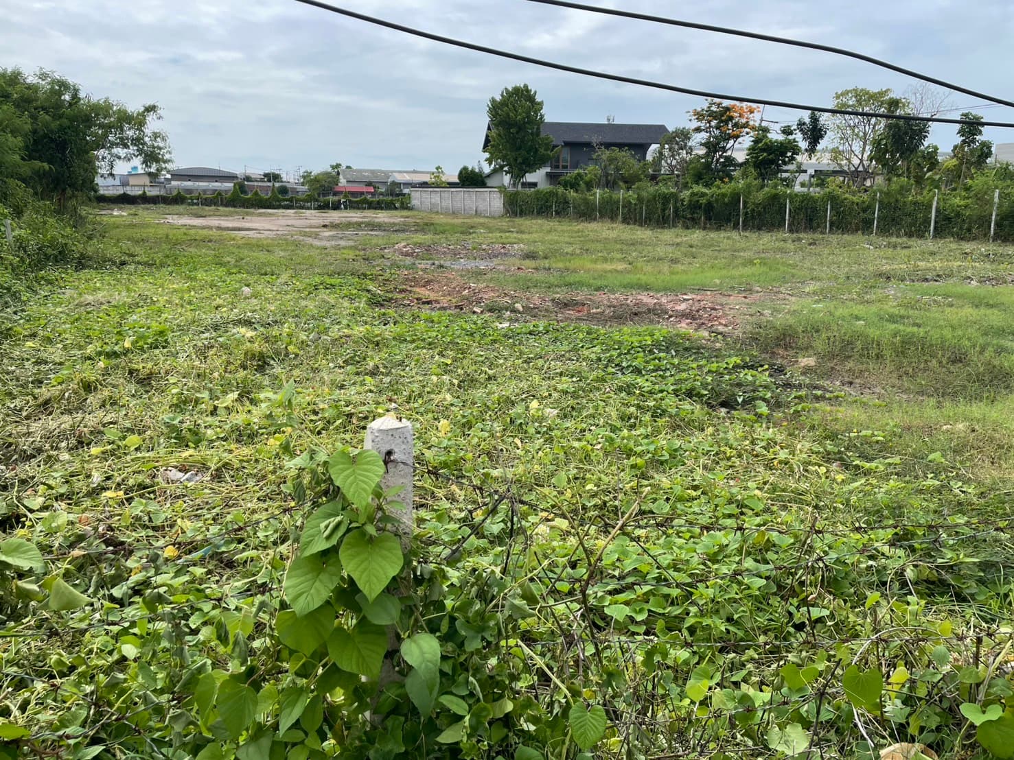 ที่ดินเปล่าถมแล้วให้เช่า ย่านเลียบคลองบางน้ำจืด สมุทรสาคร view 11