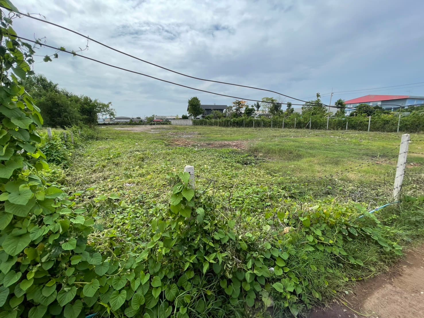 ที่ดินเปล่าถมแล้วให้เช่า ย่านเลียบคลองบางน้ำจืด สมุทรสาคร view 9